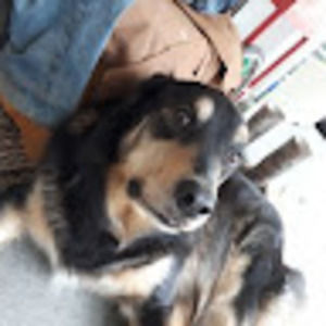 Meet your Posher, Curtis